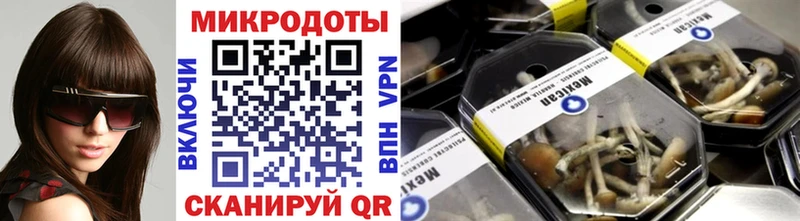 где можно купить   Микунь  Галлюциногенные грибы Psilocybine cubensis 